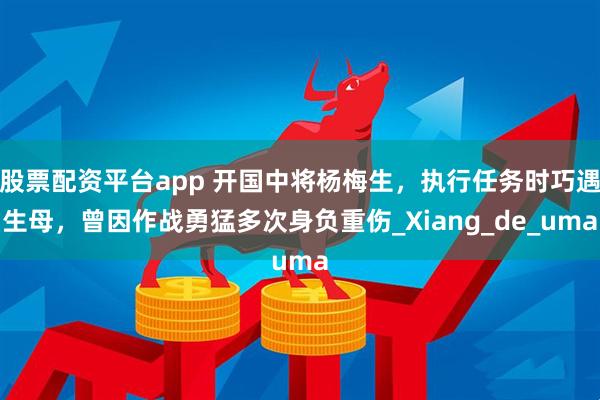 股票配资平台app 开国中将杨梅生，执行任务时巧遇生母，曾因作战勇猛多次身负重伤_Xiang_de_uma
